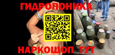 стафф Заволжье