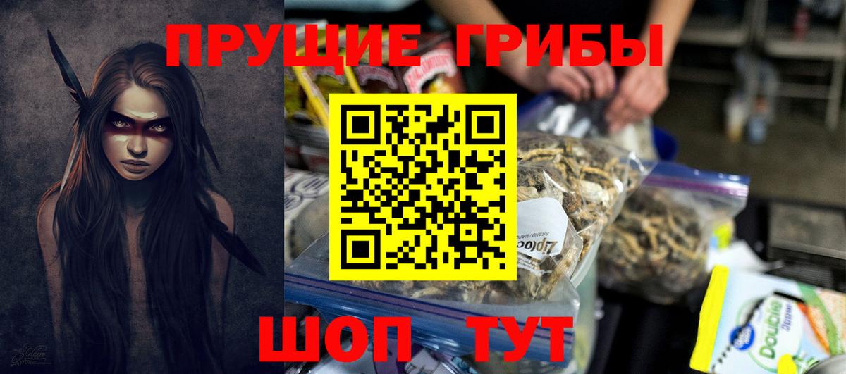 Псилоцибиновые грибы Psilocybine cubensis  Вход с VPN  Электрогорск  Галлюциногенные грибы MAGIC MUSHROOMS 